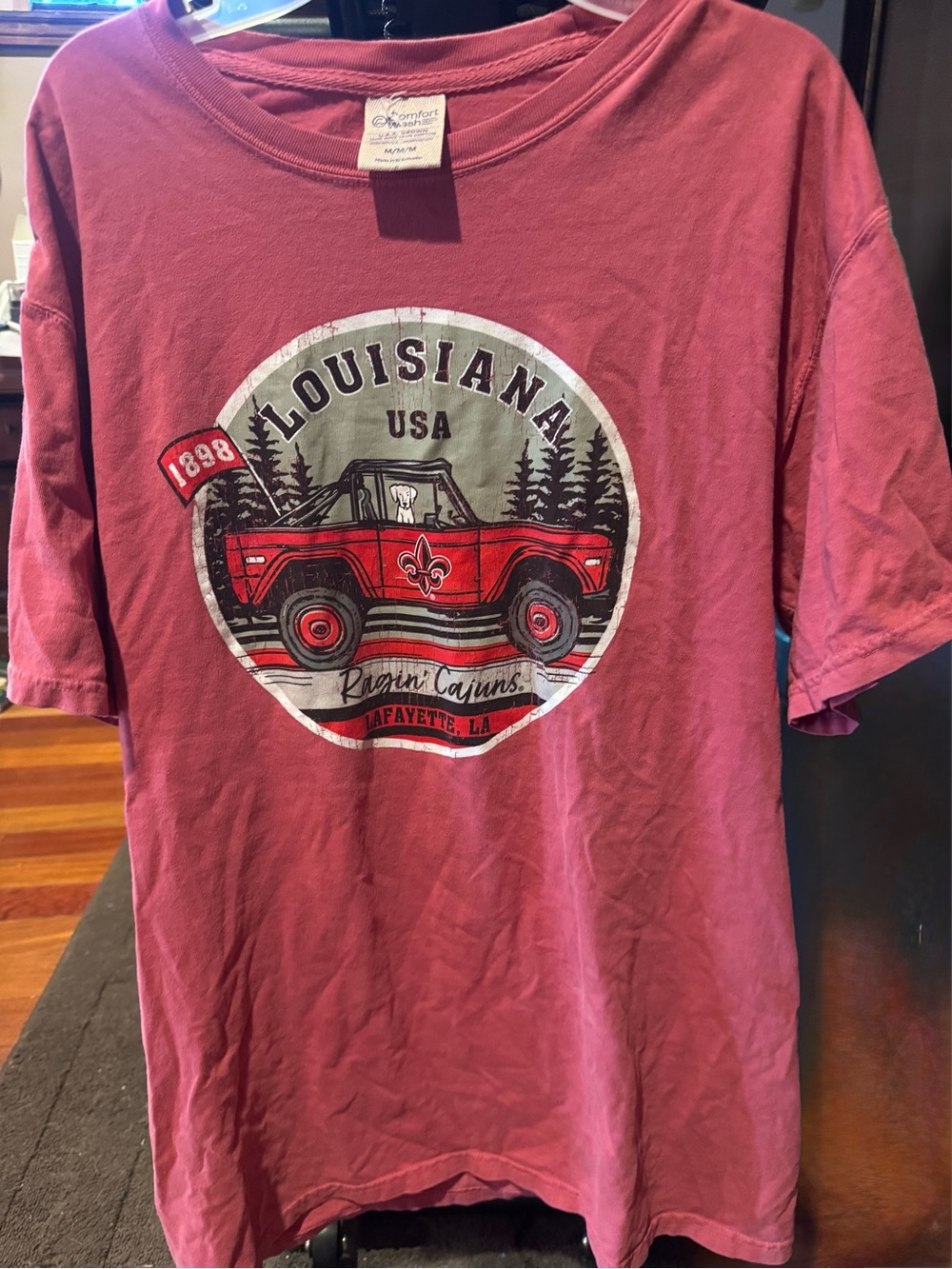 Comfort Colors Louisiana USA Short Sleeve Tee - Mauve